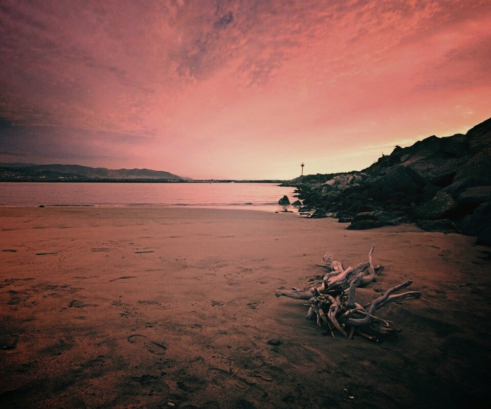 Коряга не берегу обои