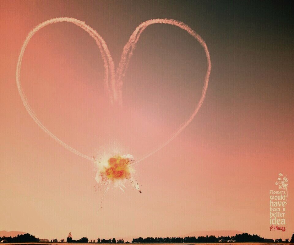 Цветы были бы лучшей идеей обои