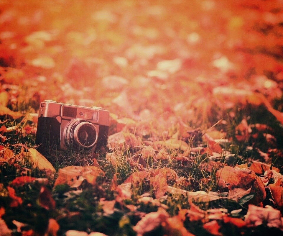 Старый фотоаппарат в траве обои