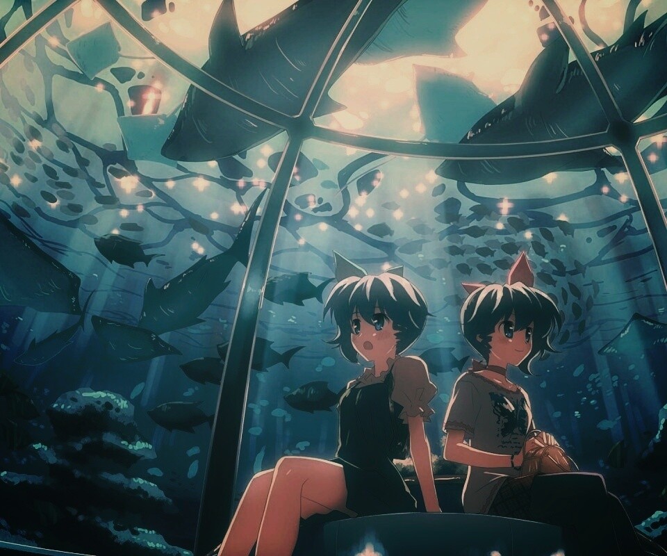 В океанариуме обои