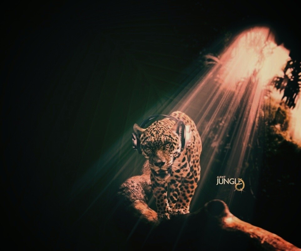 Ягуар в наушниках обои