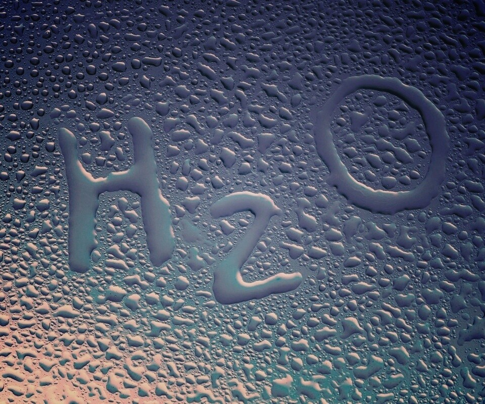 Мормула воды обои