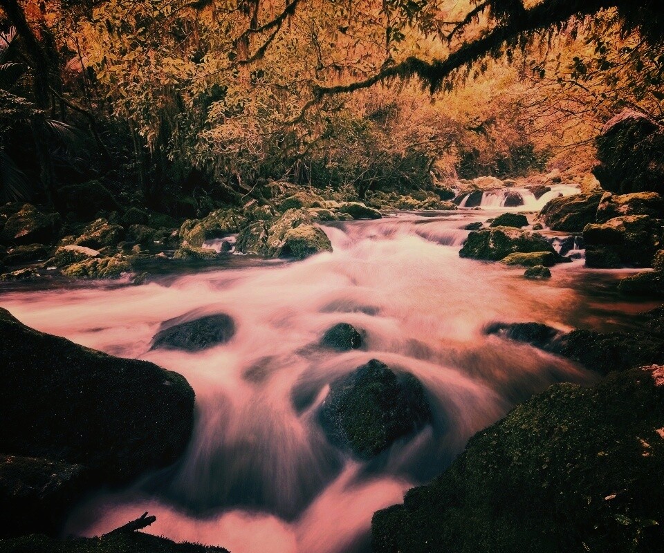 Лесной руче обои