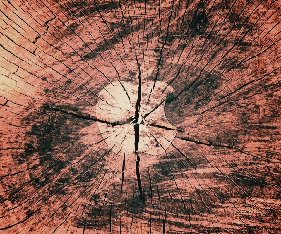 Логотип Apple на бревне обои