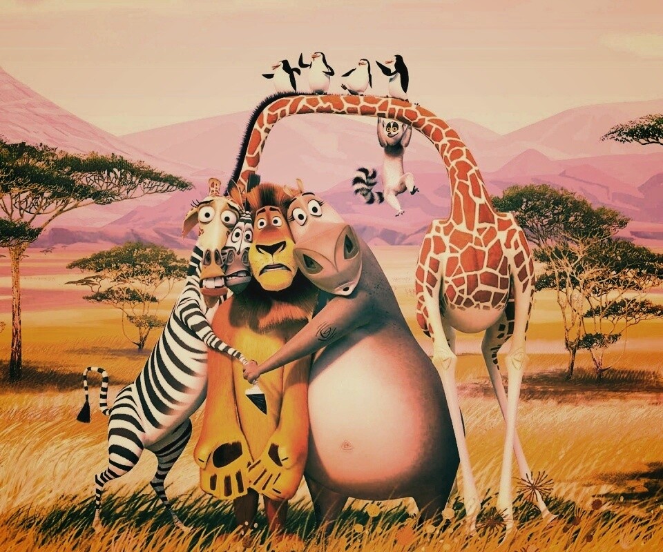 Герои мультфильма Мадагаскар обои