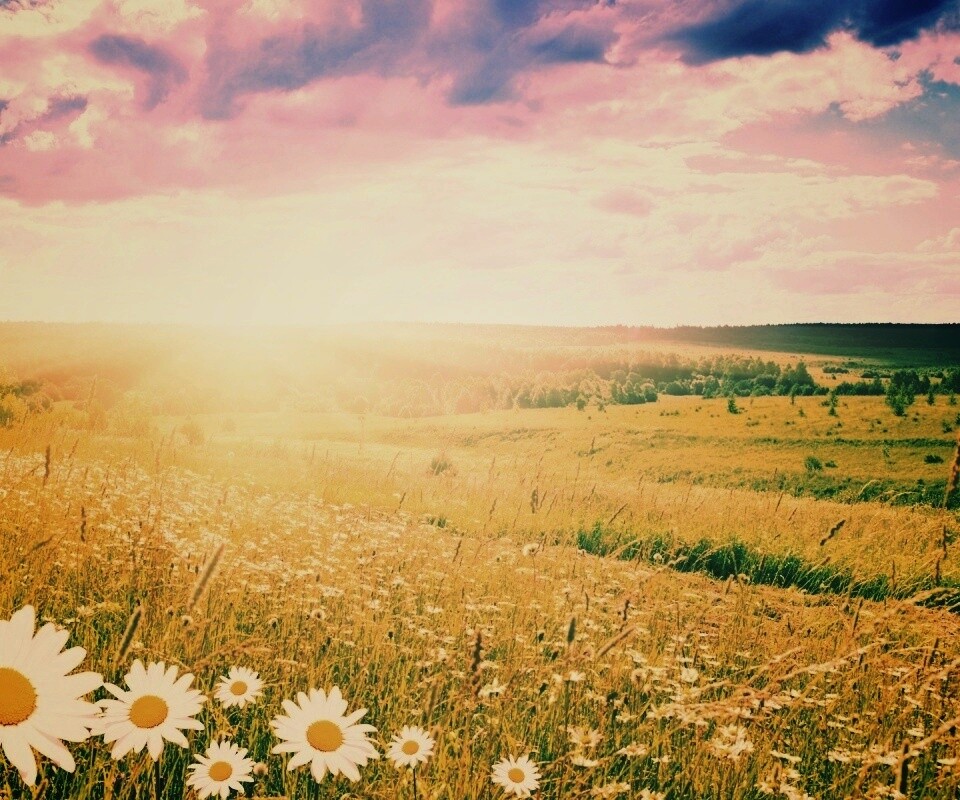 Летний восход обои