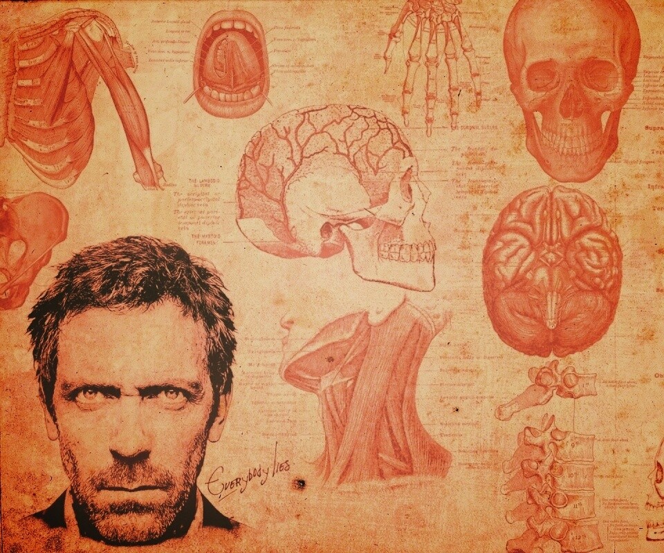 Анатомические рисунки доктора Хауса обои