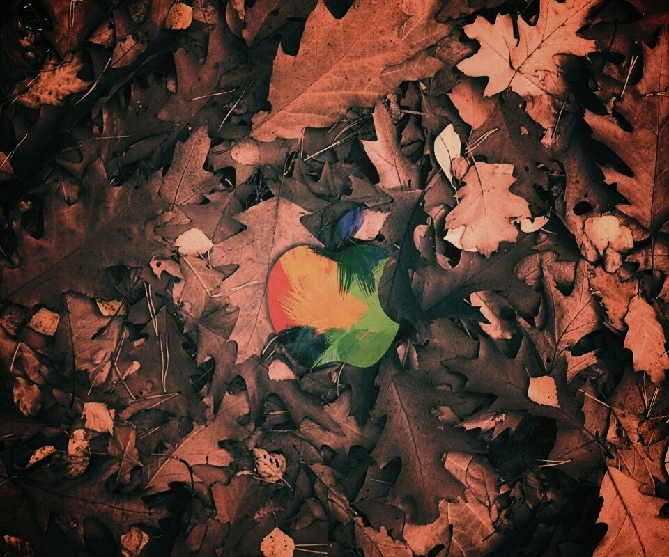 Эпл в сухой листве обои