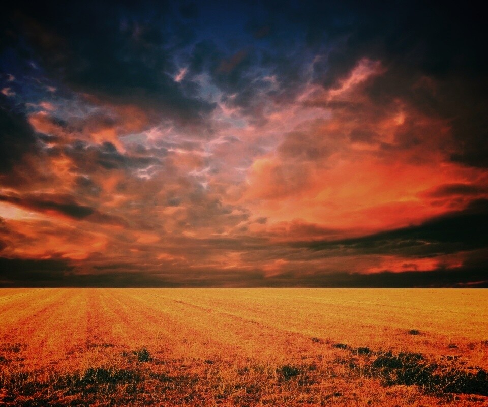 Тучи над желтым полем обои