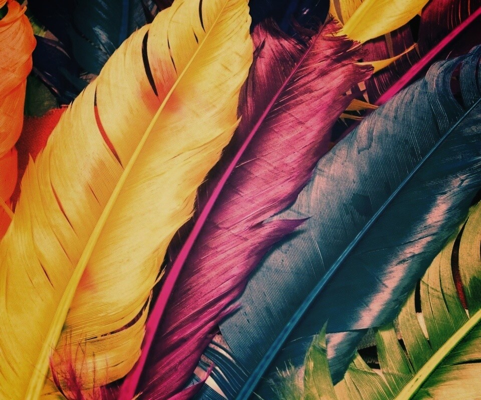 Разноцветные перья обои