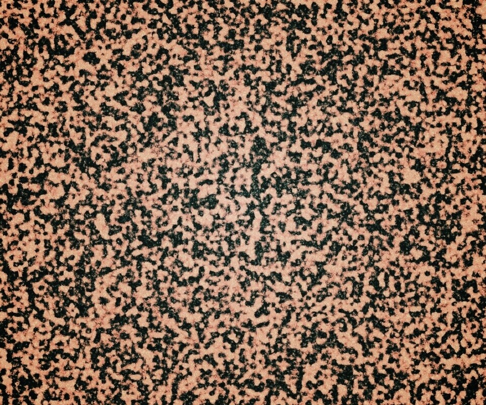 Черно-белый ковролин обои