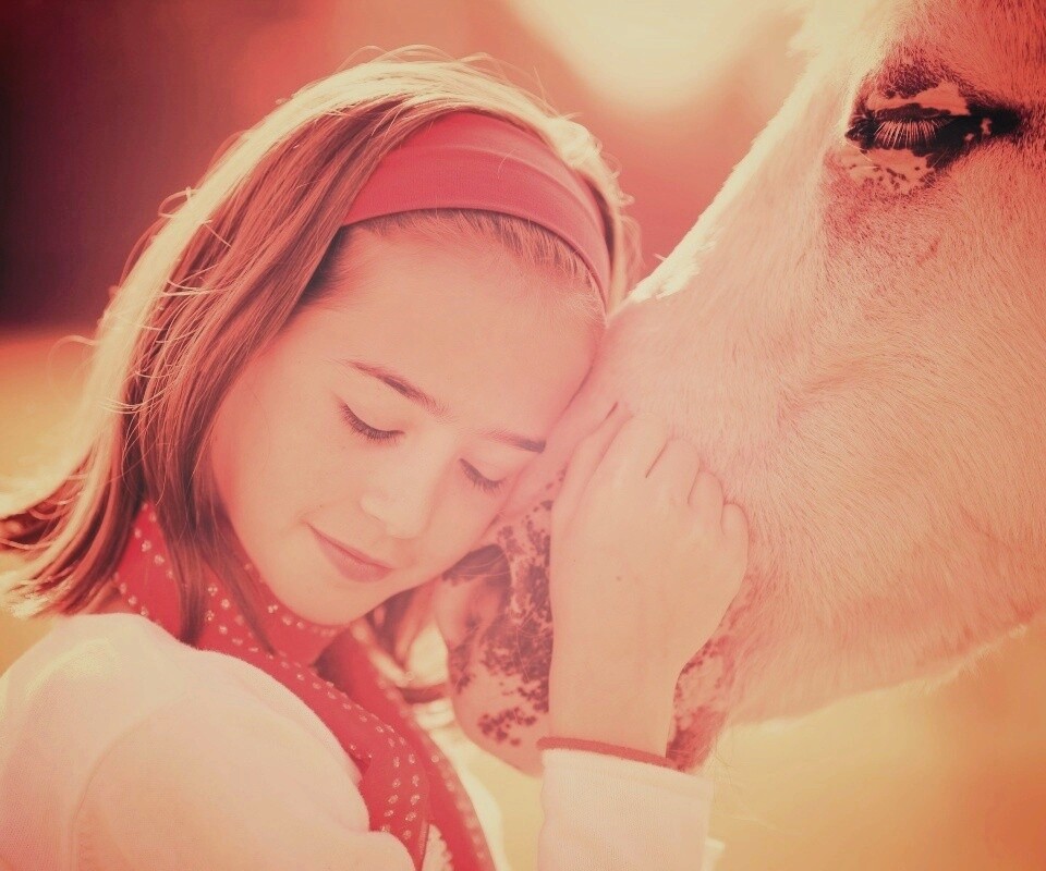 Девочка и лошадь обои