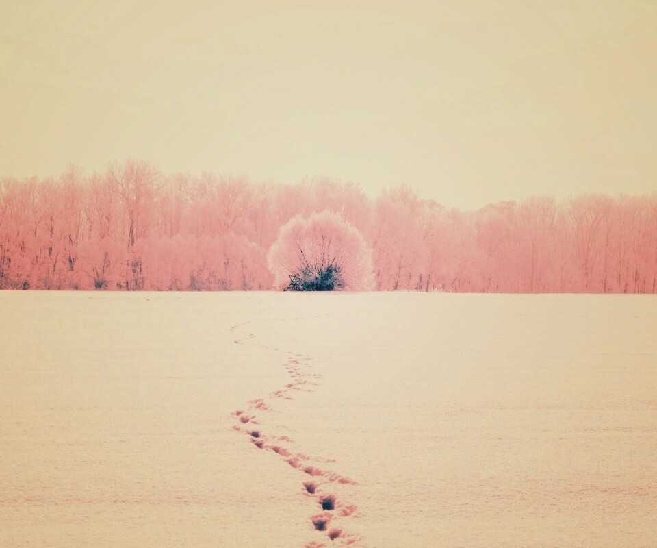 Следы на снегу обои