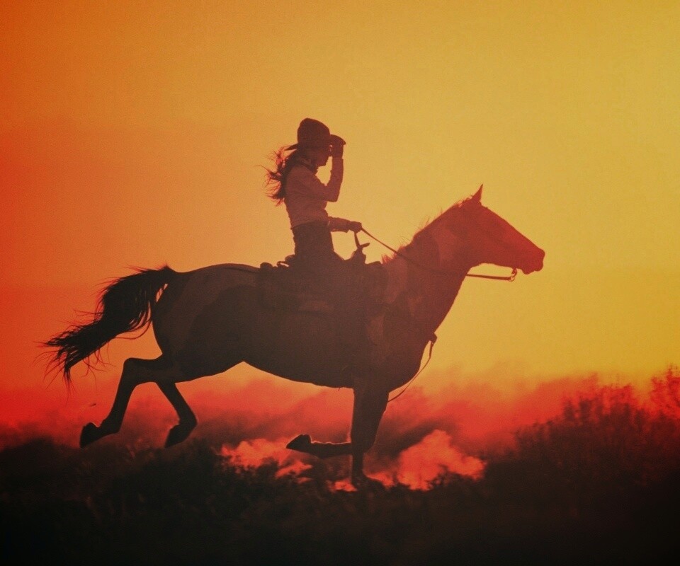 Наездница на закате обои