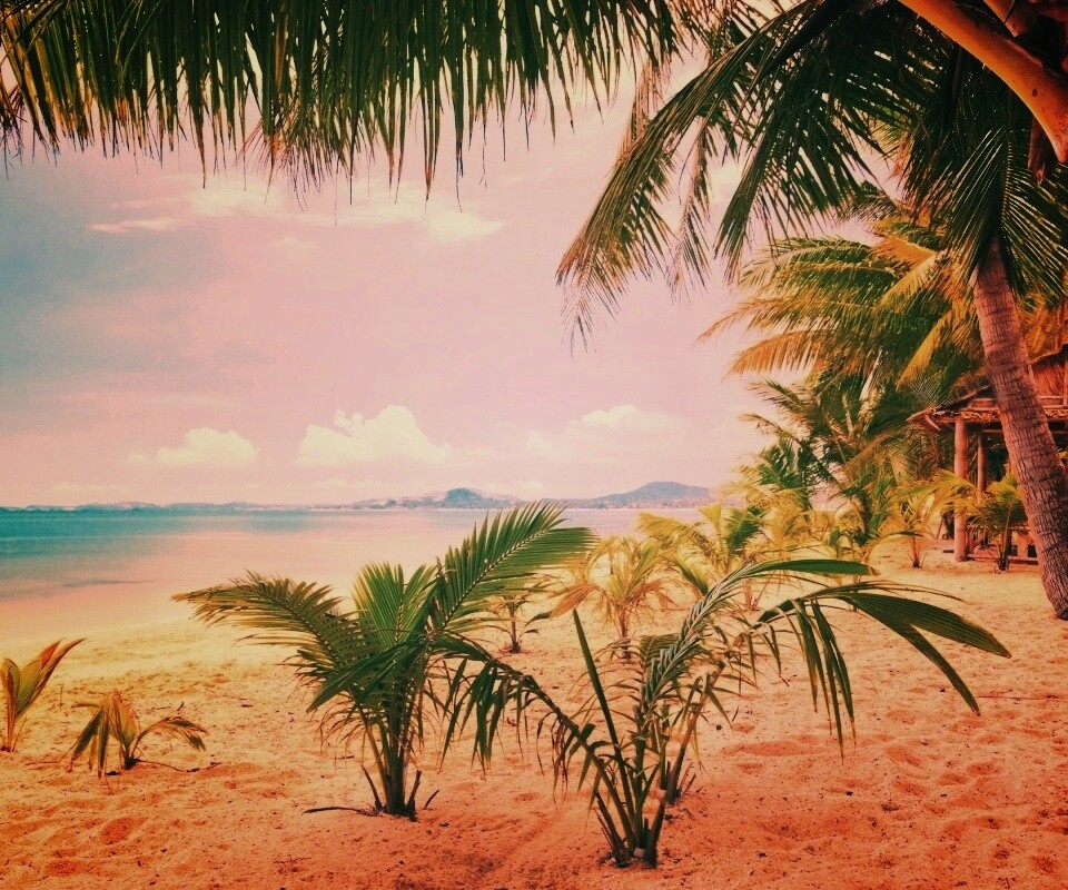 Настоящее лето обои