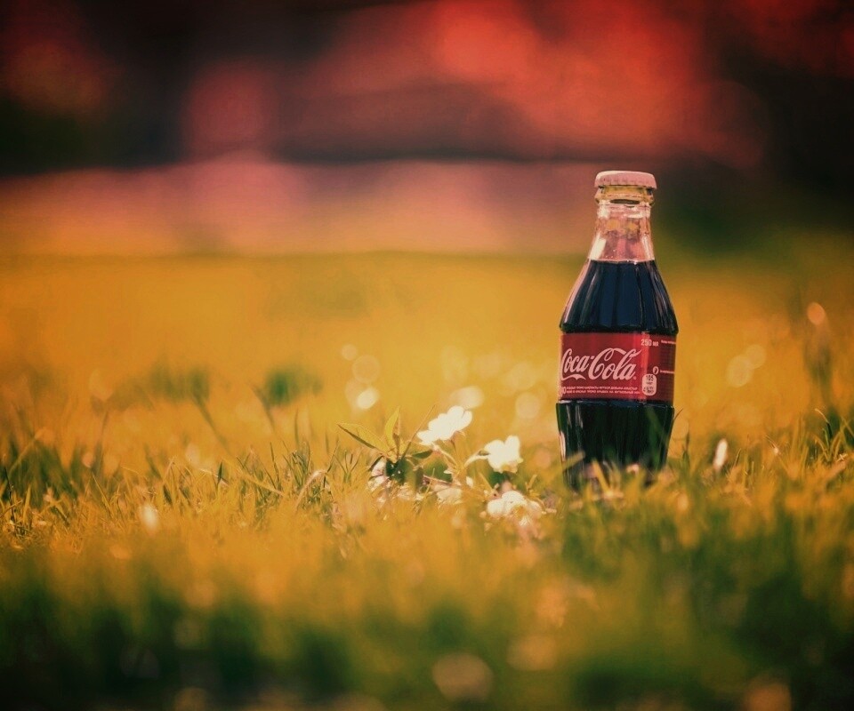 Кока-Кола на траве обои