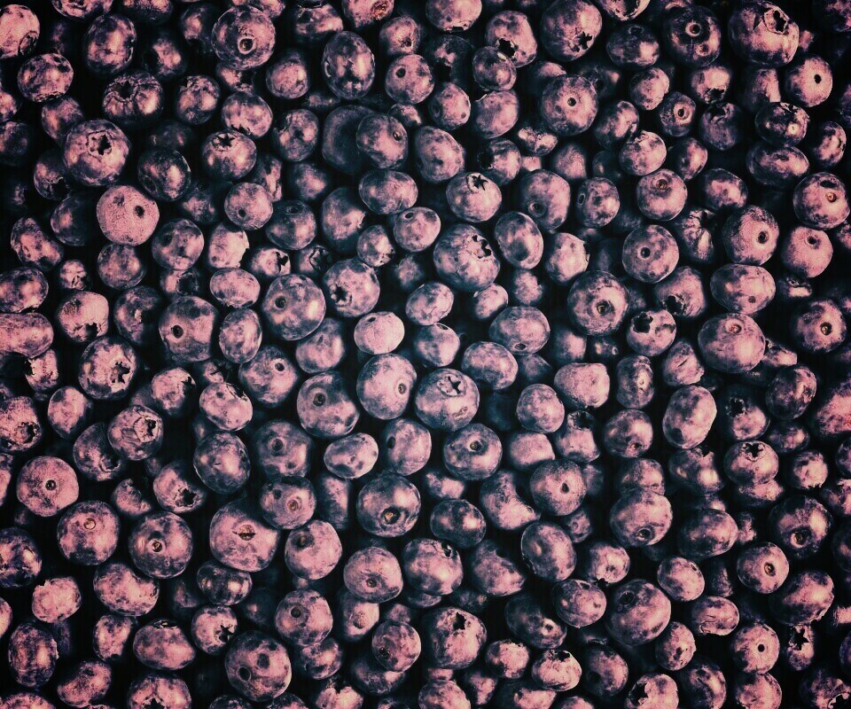 Черника обои