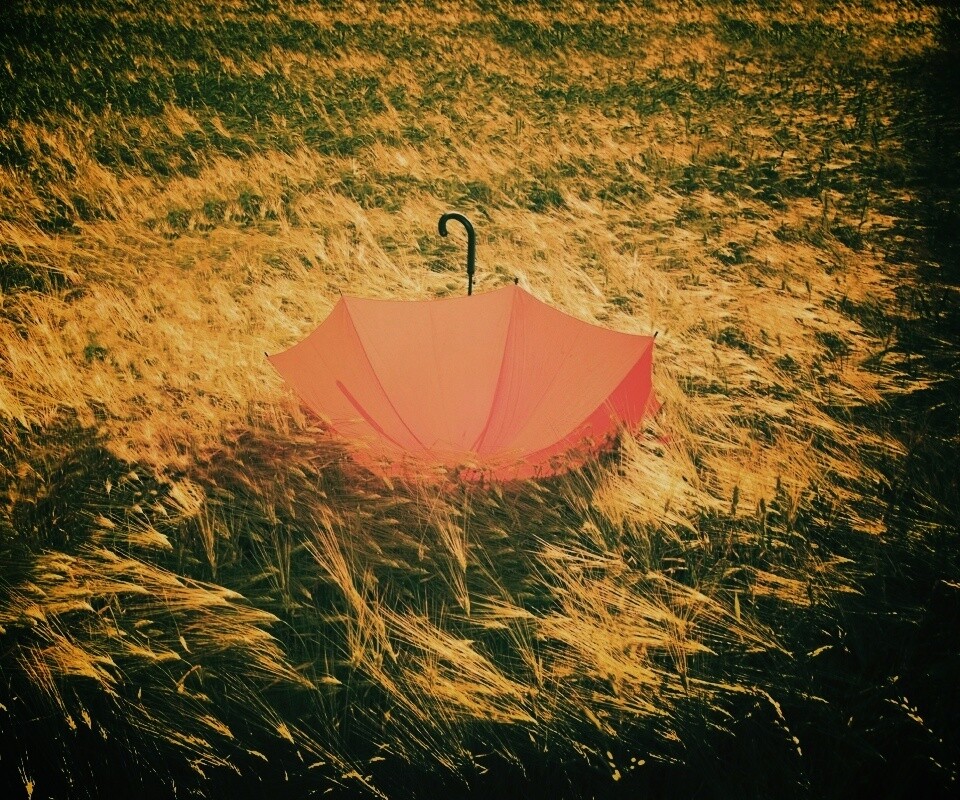 Зонт на траве обои