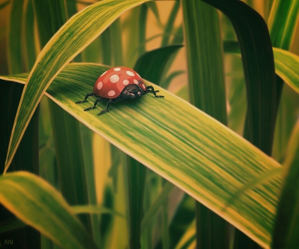 Милая божья коровка робот обои