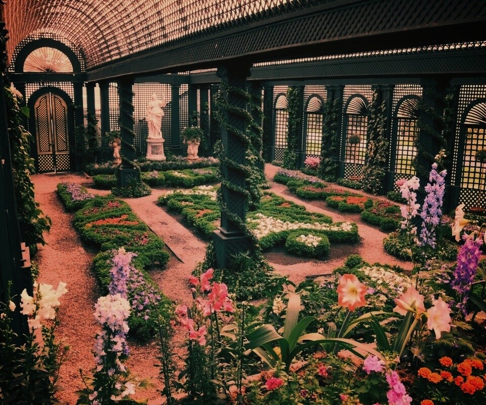 Оранжерея обои