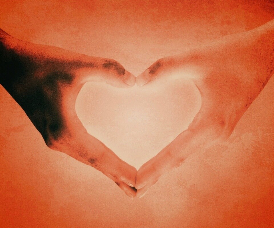 Сердце из сложенных рук обои