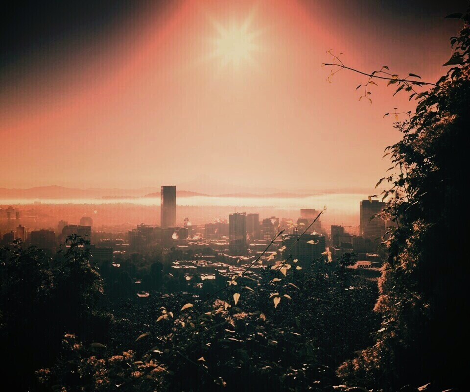 Утро в раю обои