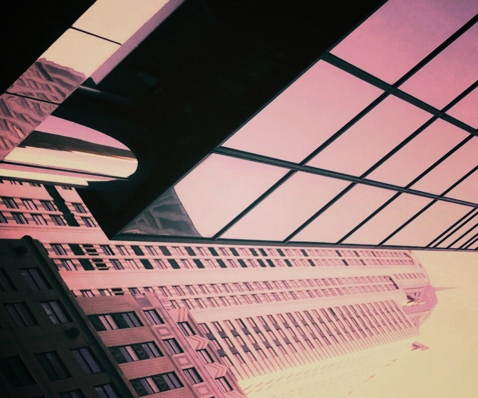 Взгляд вверх обои