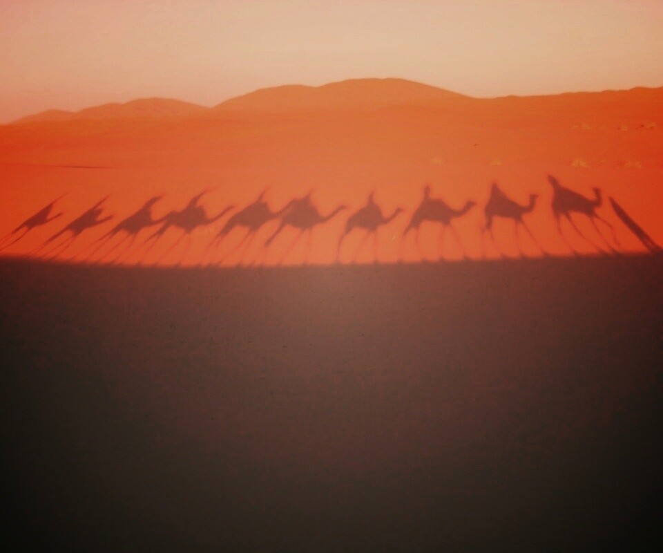 Караван обои