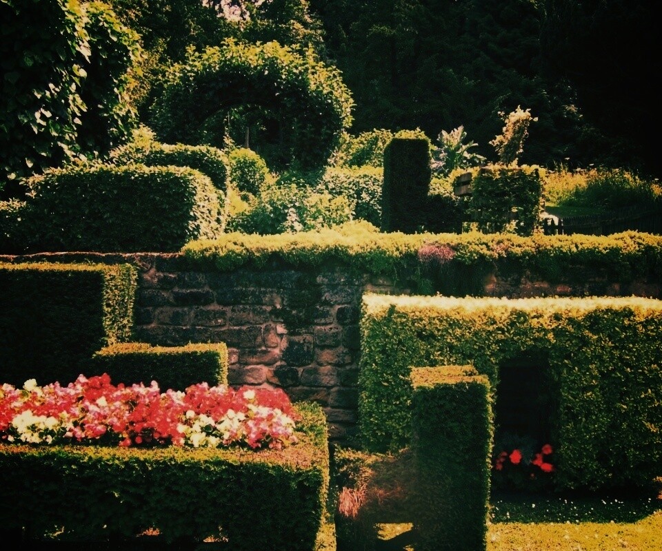 Декоративный сад обои