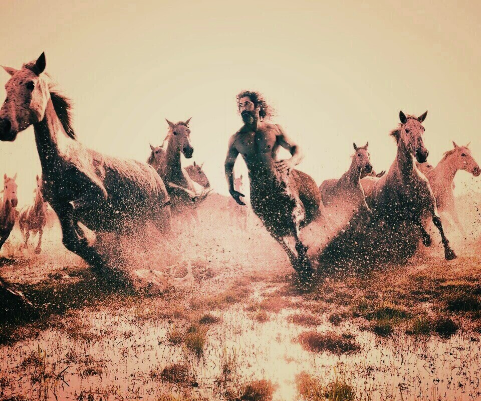 Кентавр обои