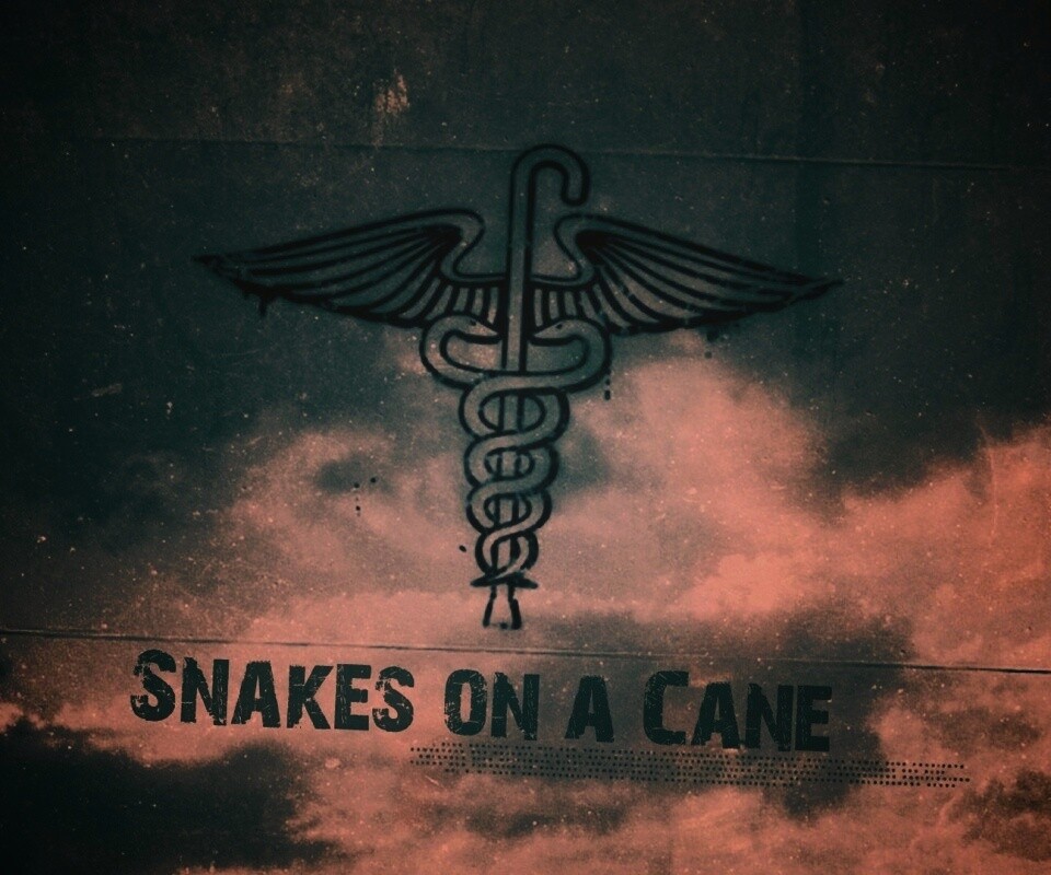 Змеи на трости обои