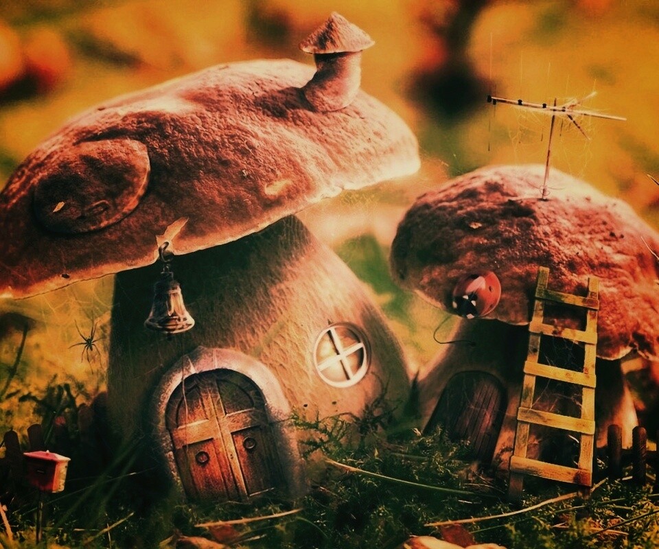 Грибы домики обои