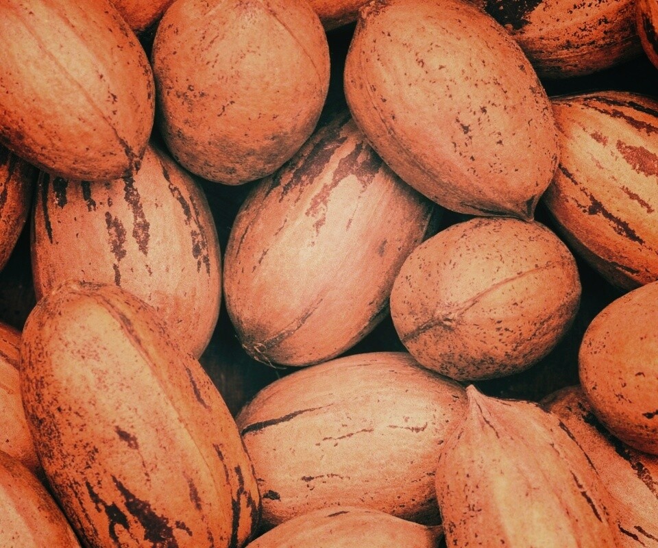 Грецкие орехи обои