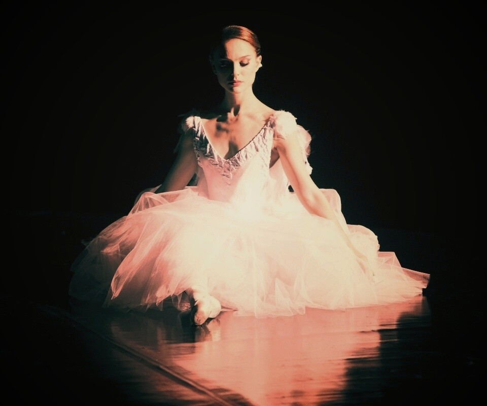 Черный лебедь обои