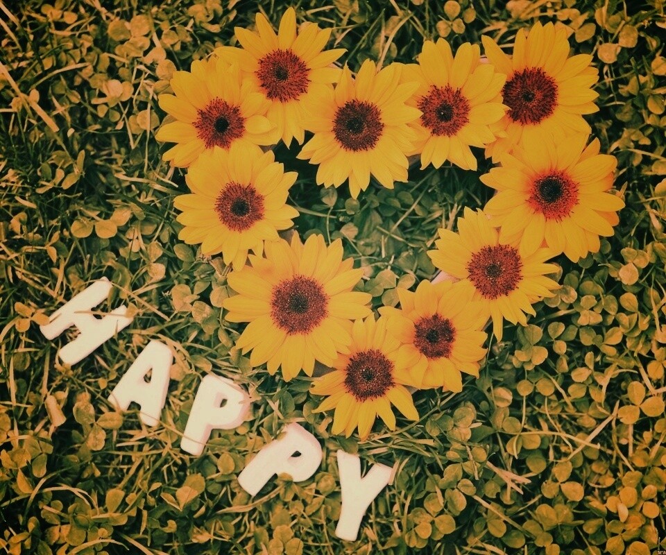 Радость обои