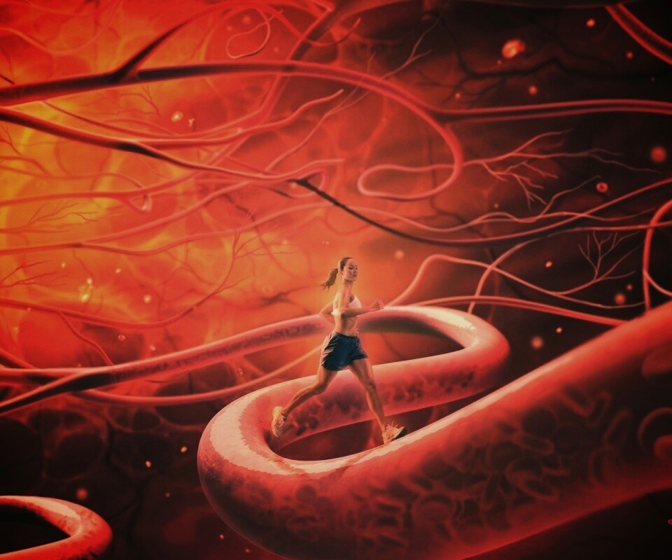 Бег крови обои