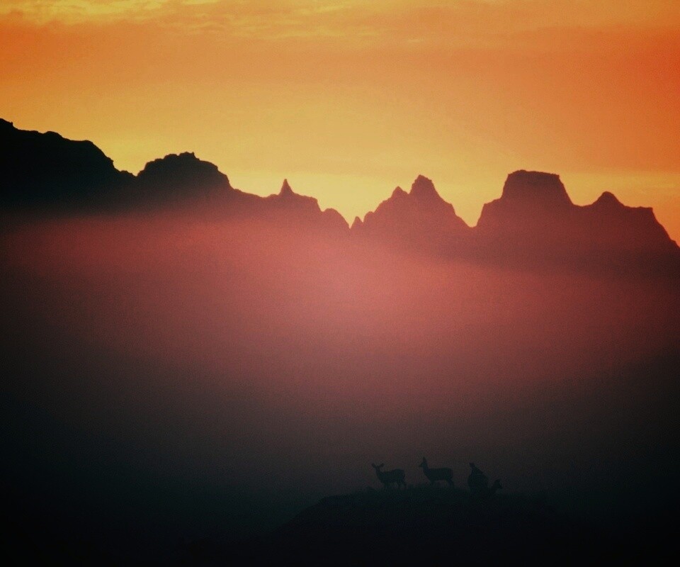 Вечер в национальном парке обои