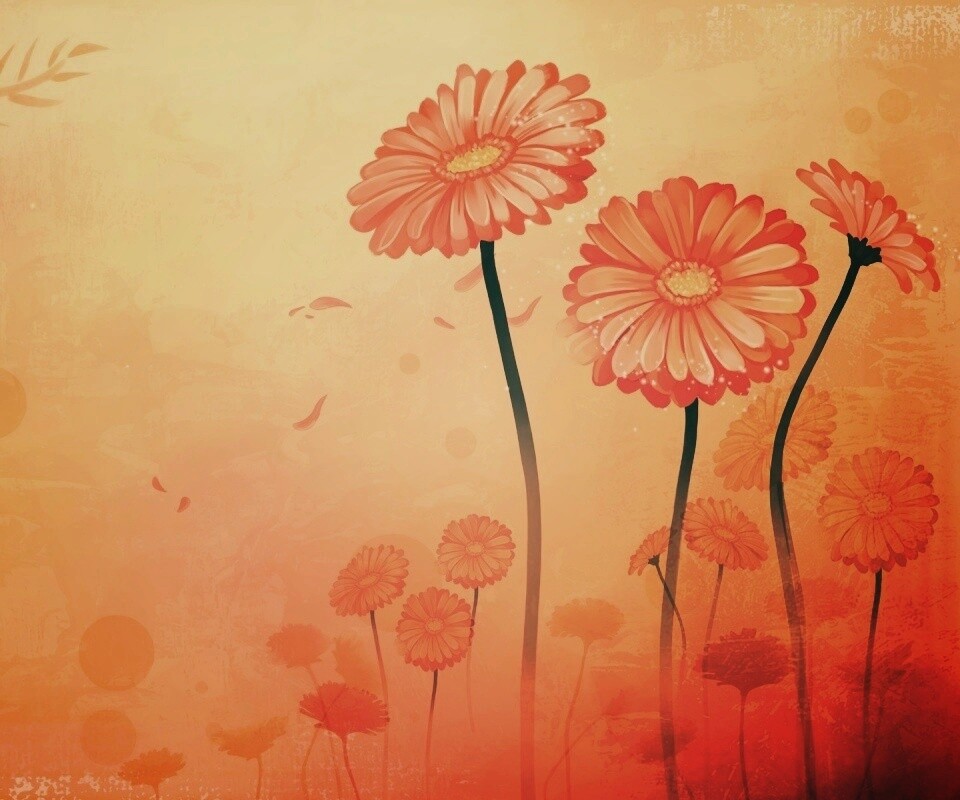 Векторные ромашки обои