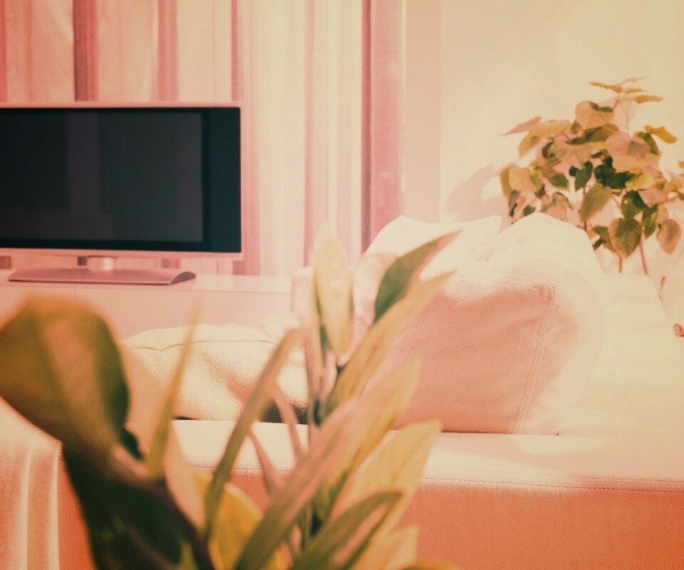 Белая комната обои