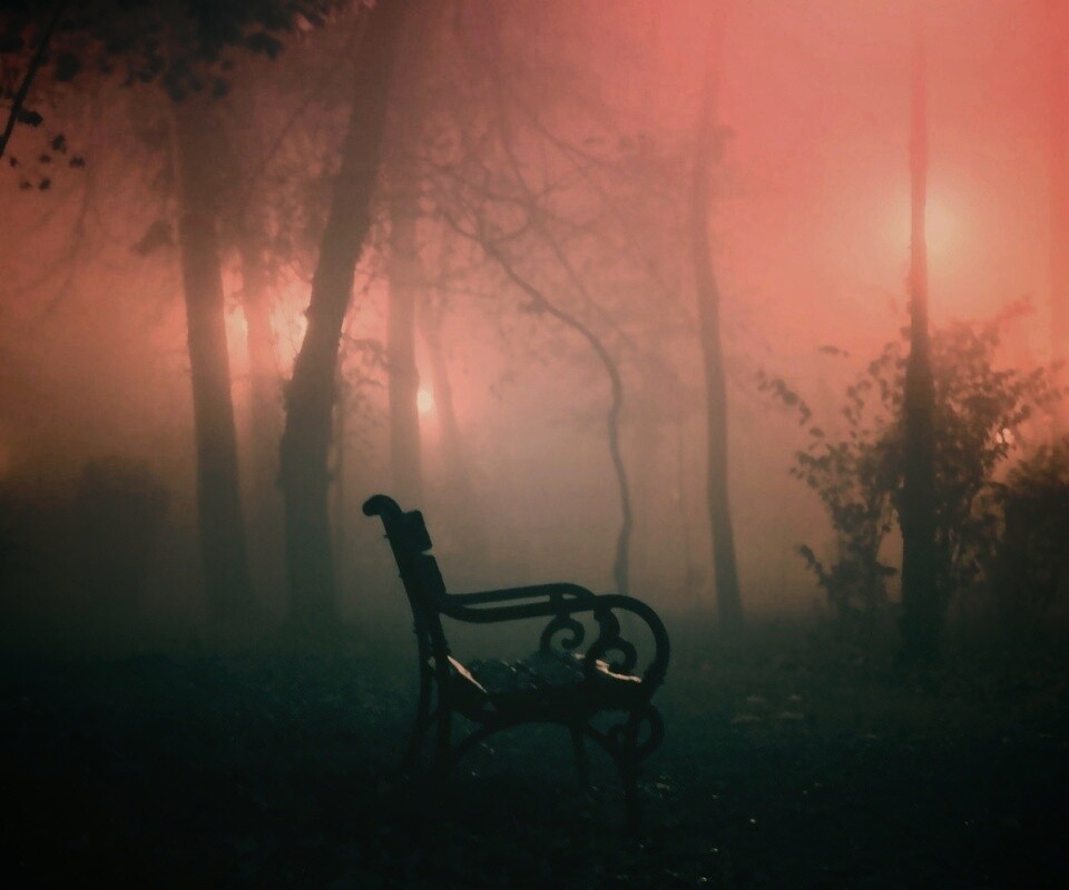 Темный лес обои