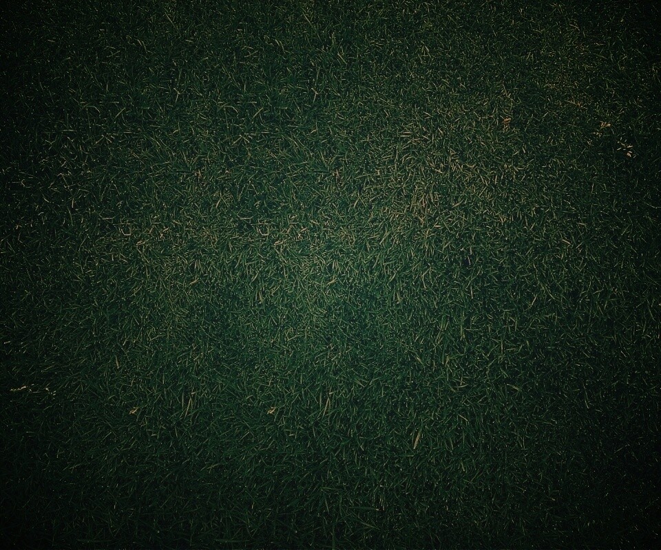 Трава обои