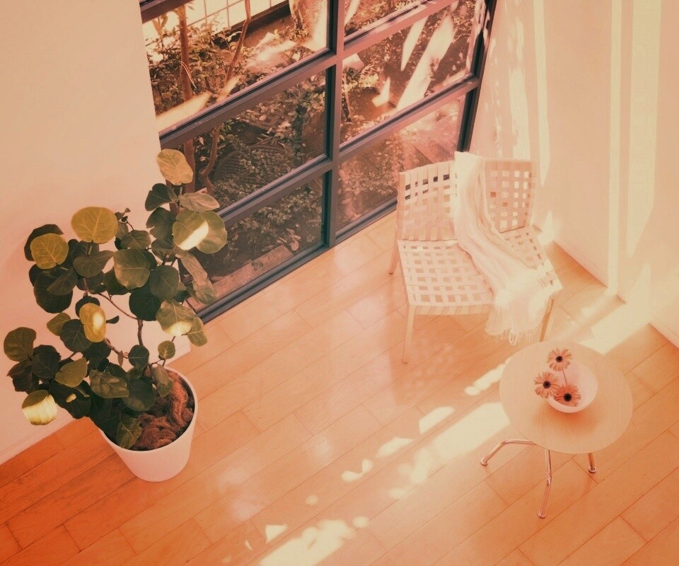 Стул, столик и цветы в комнате обои