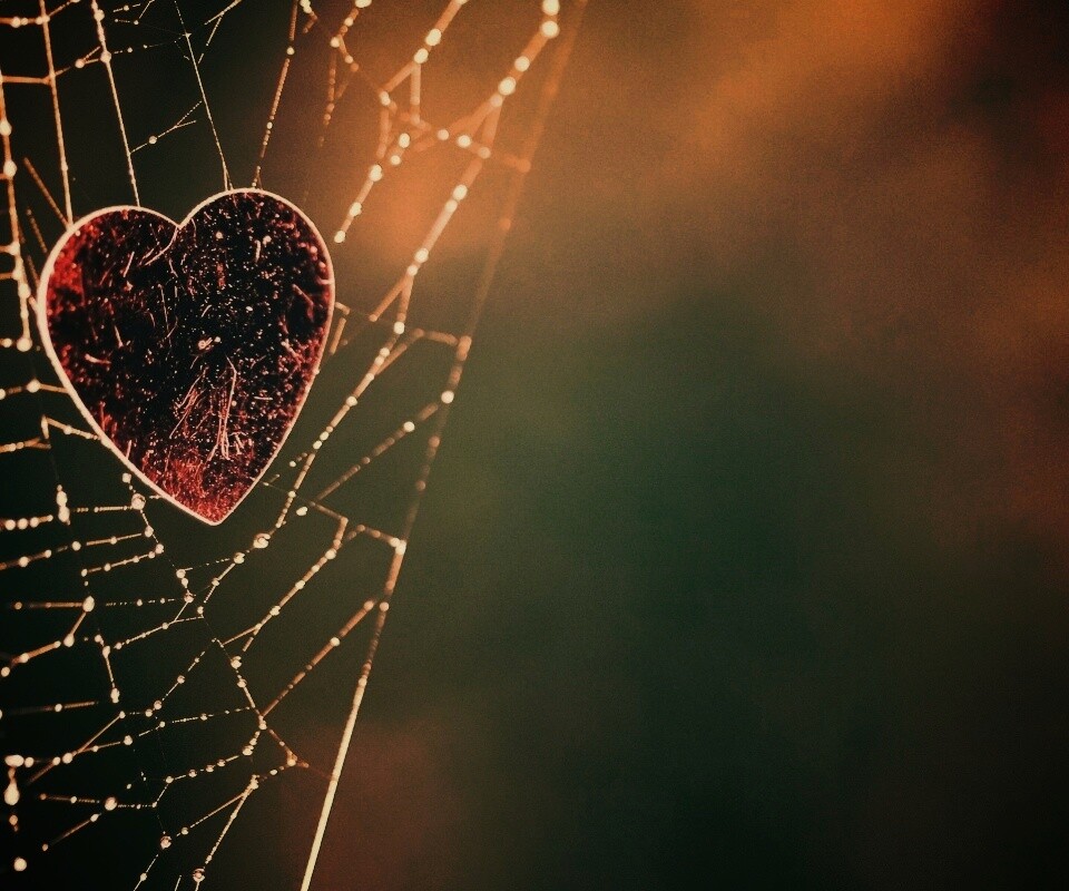 Запутавшаяся любовь.. обои