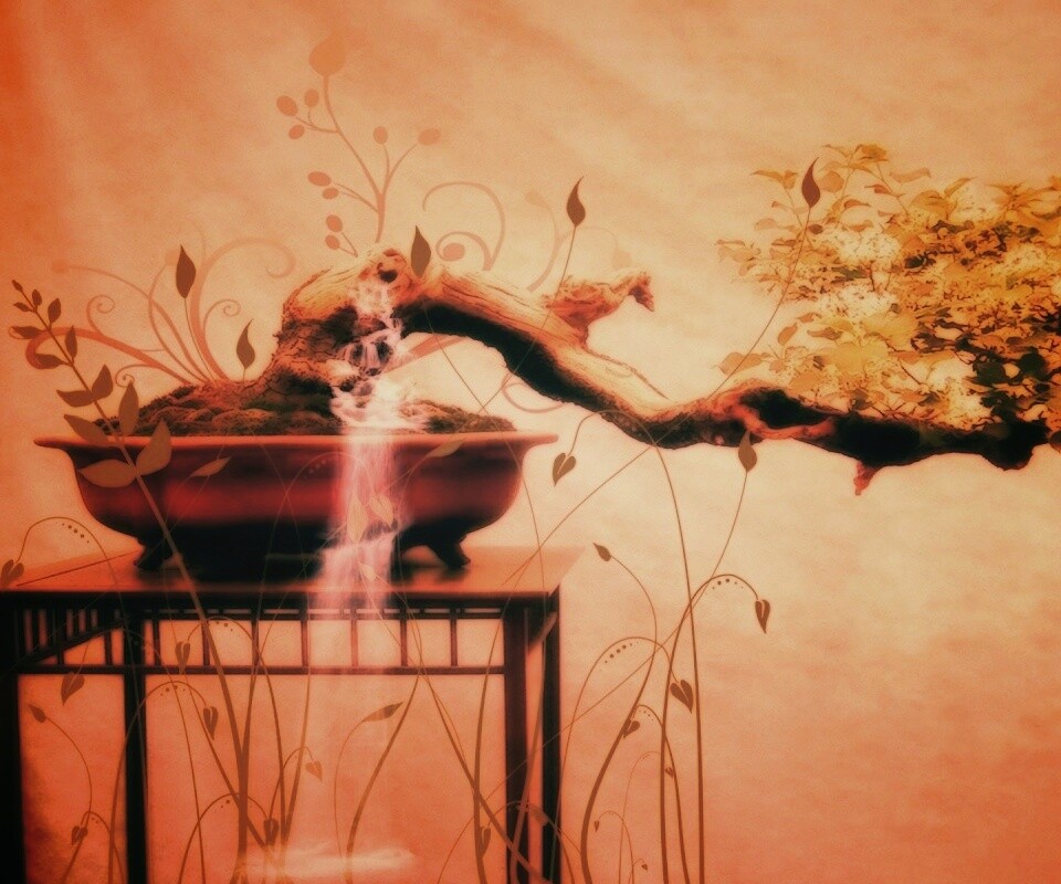 Карликовое дерево обои