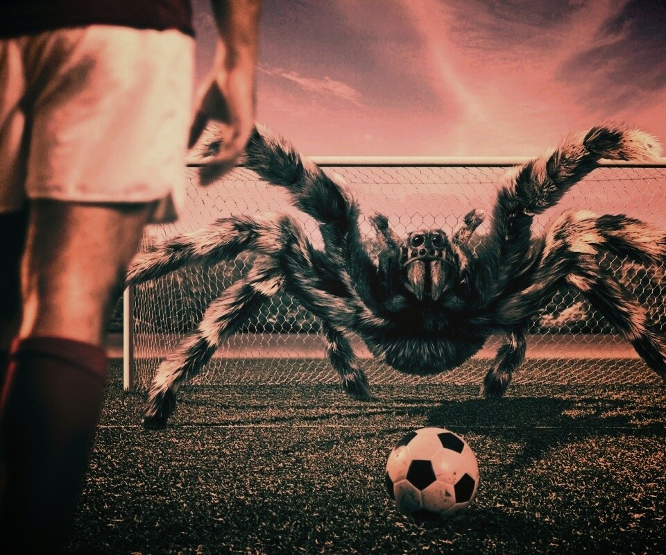 Вратарь обои