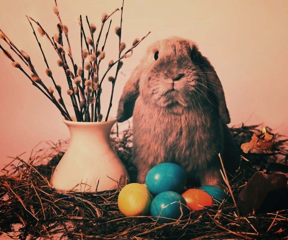 Пасхальный кролик обои