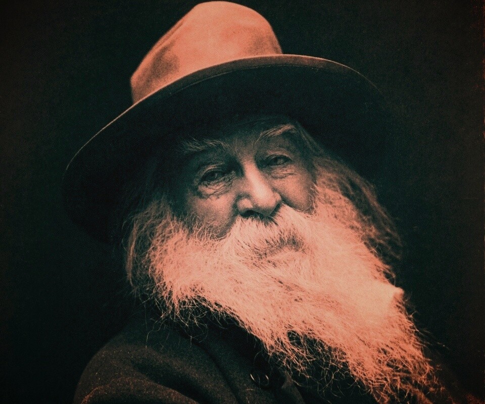 Уолт Уитмен обои