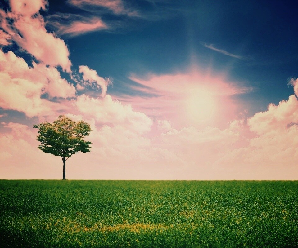 Один в целом мире обои