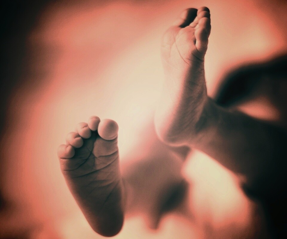 Детские ноги обои