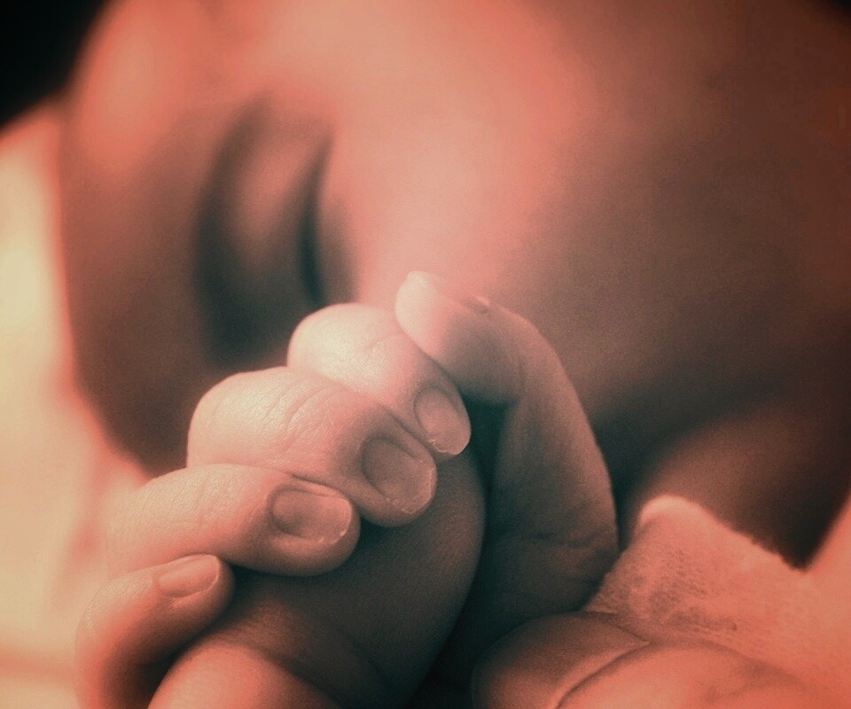 Младенец держит палец обои